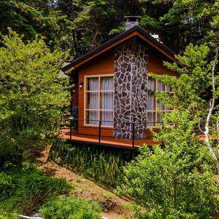 Los Pinos Cabins & Reserve Monteverde Exterior photo
