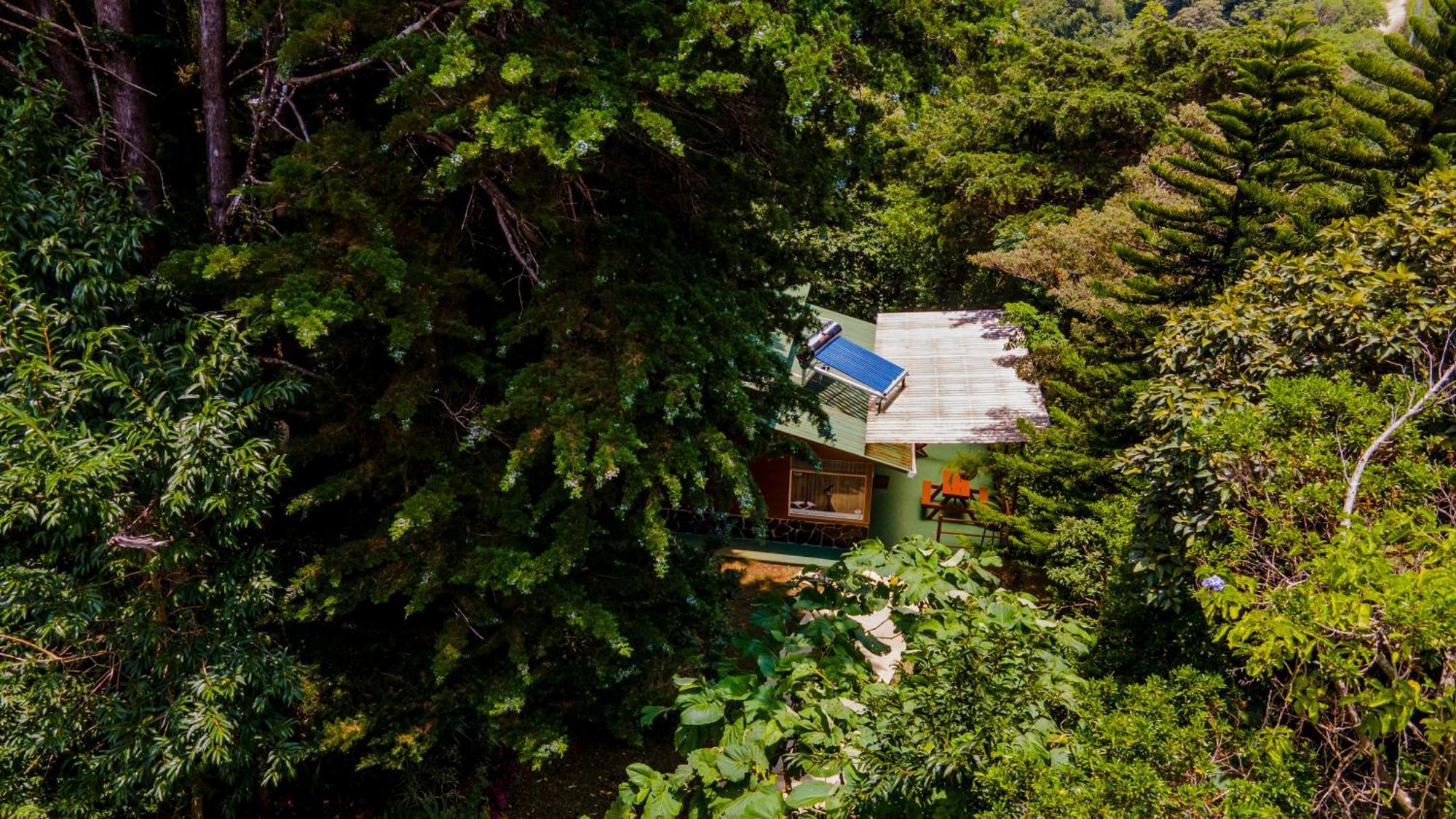 Los Pinos Cabins & Reserve Monteverde Exterior photo
